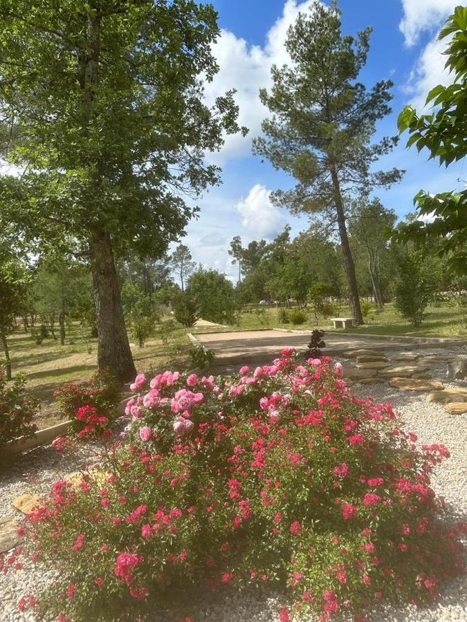 Superbe Villa Seillans La Grande Bastide Avec Piscine, Jardin, Climatisation Et Salle De Sport מראה חיצוני תמונה