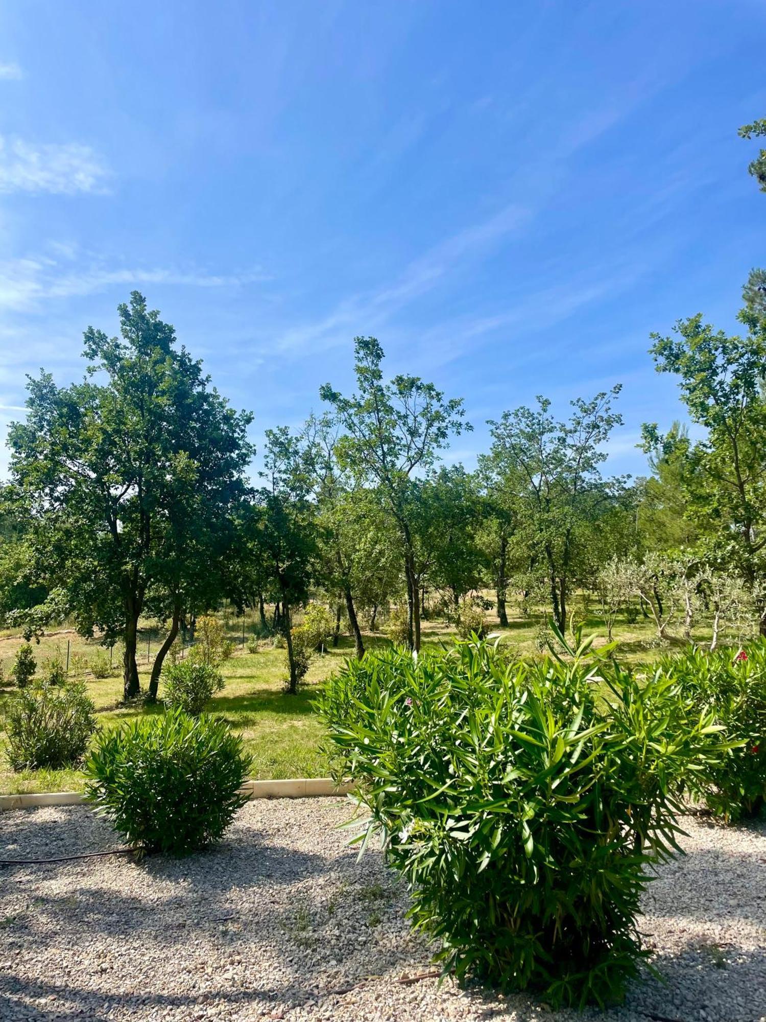 Superbe Villa Seillans La Grande Bastide Avec Piscine, Jardin, Climatisation Et Salle De Sport מראה חיצוני תמונה
