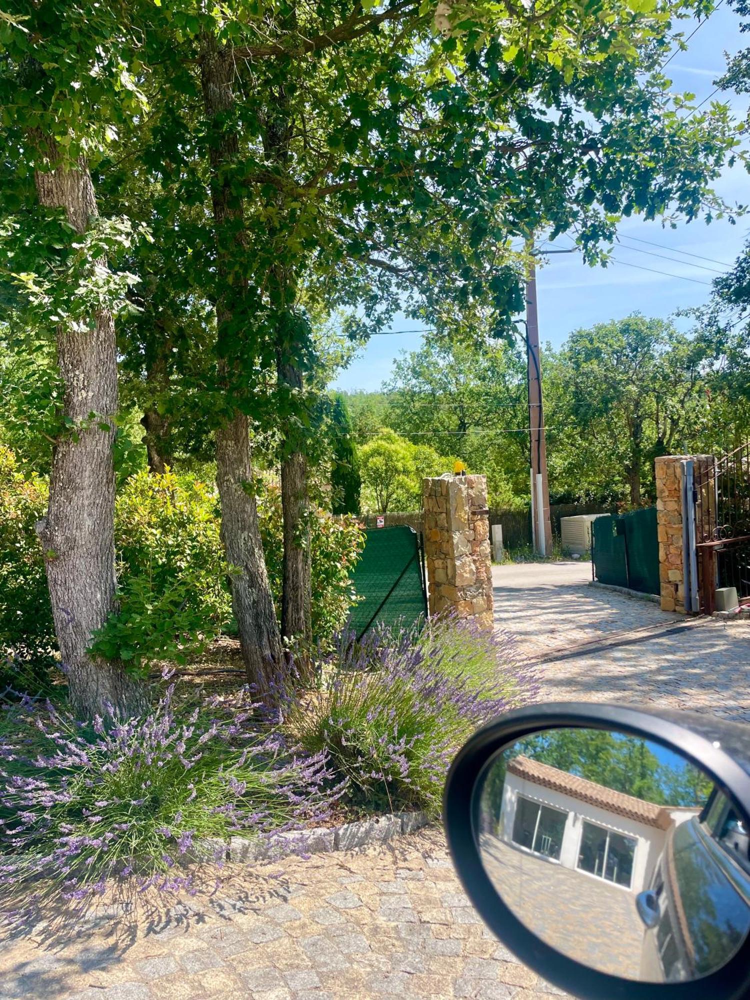 Superbe Villa Seillans La Grande Bastide Avec Piscine, Jardin, Climatisation Et Salle De Sport מראה חיצוני תמונה