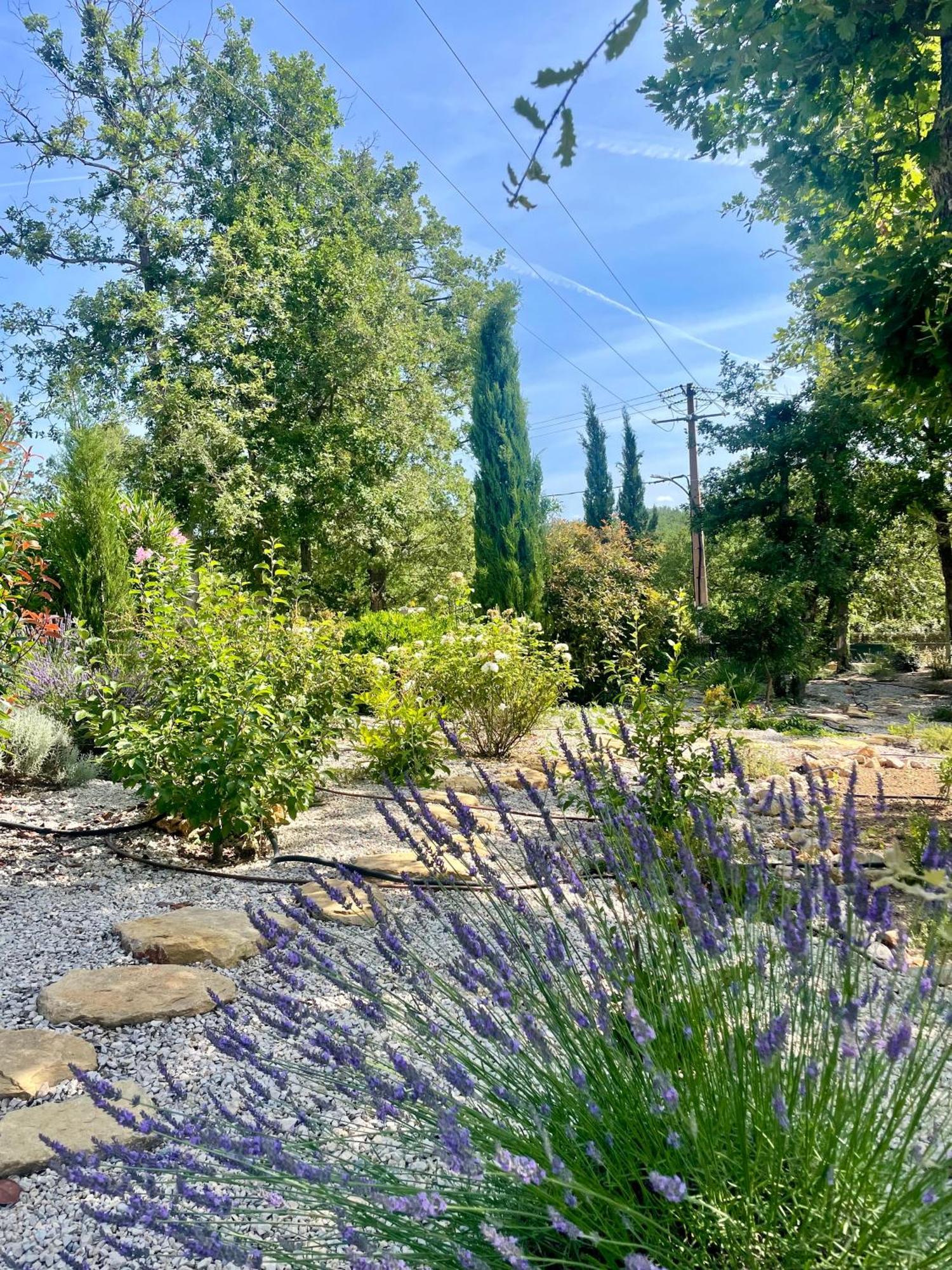 Superbe Villa Seillans La Grande Bastide Avec Piscine, Jardin, Climatisation Et Salle De Sport מראה חיצוני תמונה