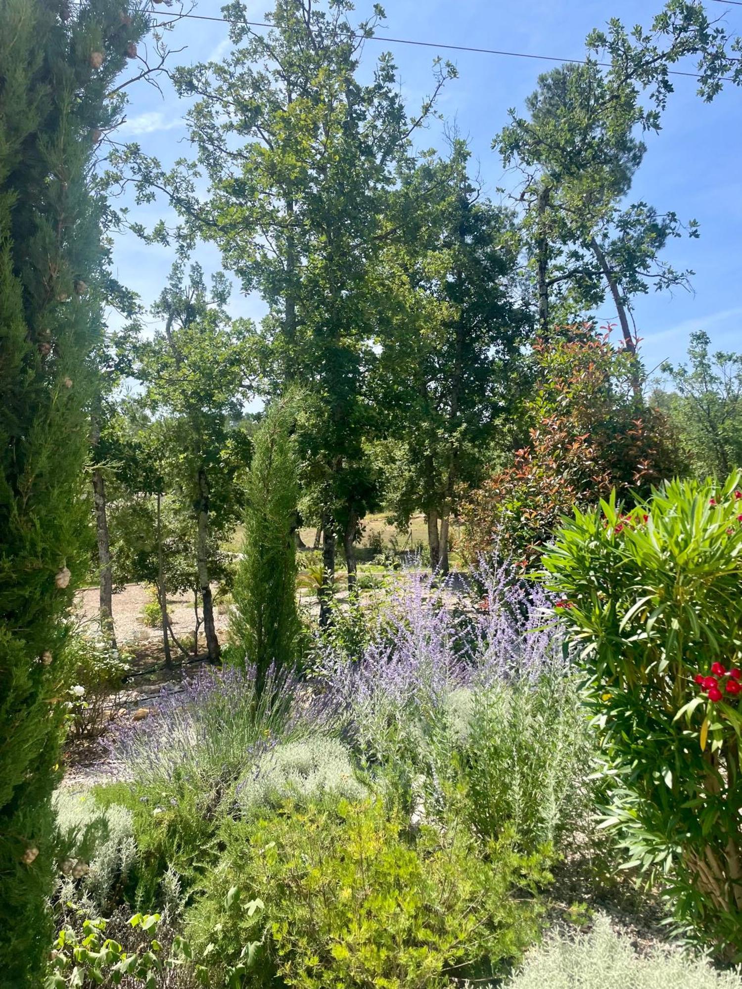 Superbe Villa Seillans La Grande Bastide Avec Piscine, Jardin, Climatisation Et Salle De Sport מראה חיצוני תמונה