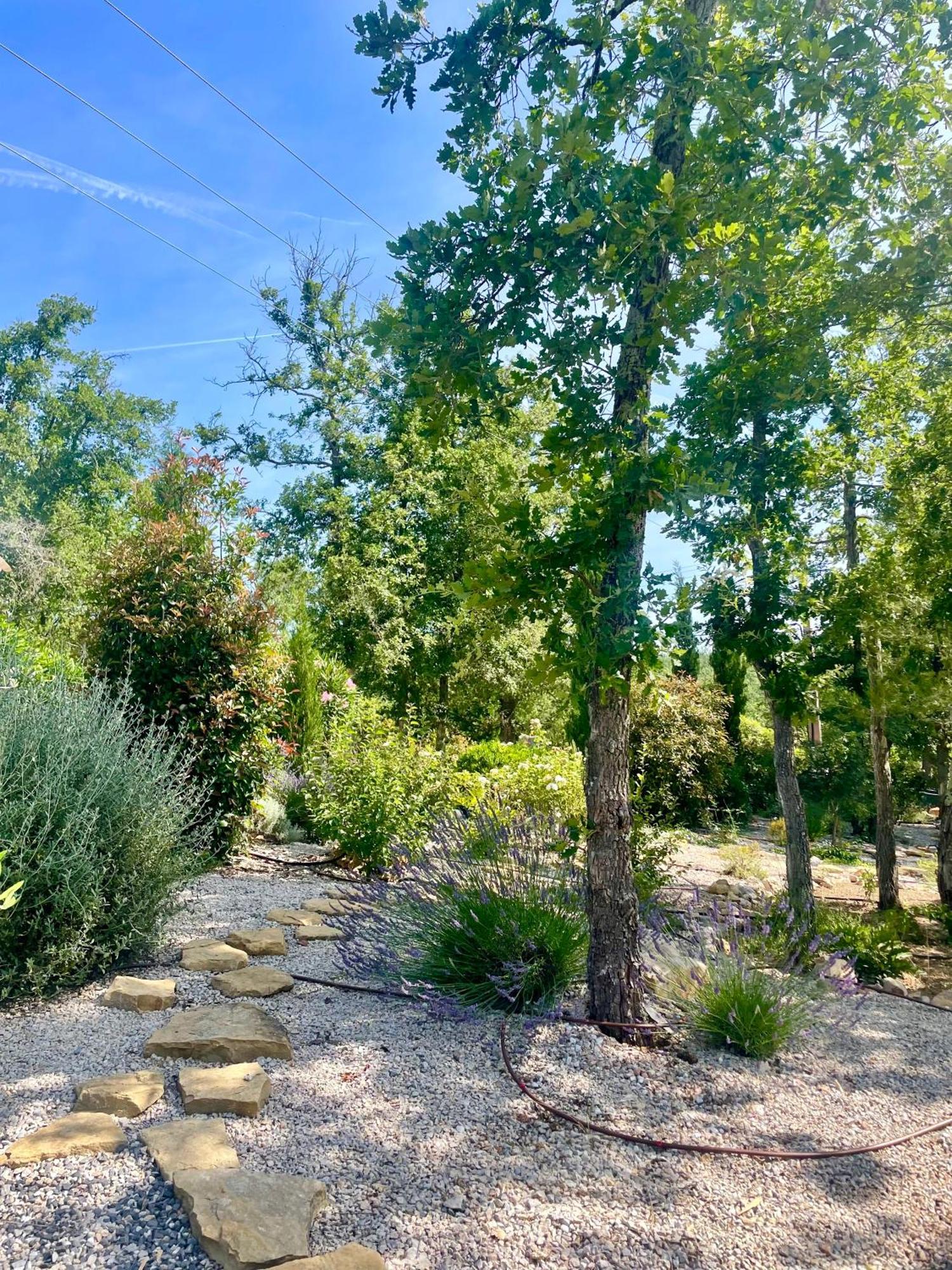 Superbe Villa Seillans La Grande Bastide Avec Piscine, Jardin, Climatisation Et Salle De Sport מראה חיצוני תמונה